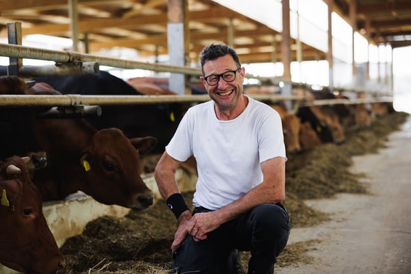 Martin Rutishauser bei seinen Rindern