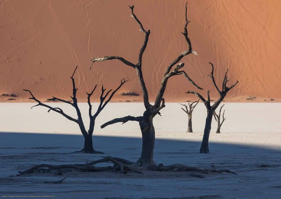 Мертвая долина в Намибии