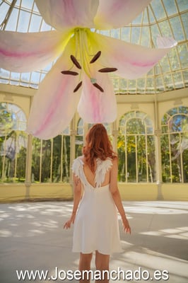 fotografo madrid economico, fotografo madrid barato, book fotos economico, book fotos barato