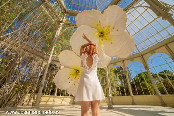 fotografo madrid economico, fotografo madrid barato, book fotos economico, book fotos barato