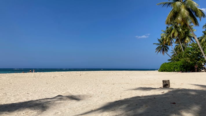 Nia Dance-the-Joy Urlaub