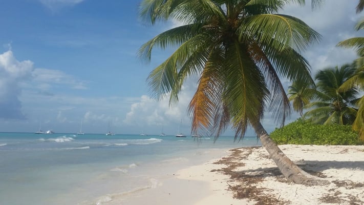 Dance the Joy - Las Terrenas Urlaub - DomRep - Gabriele Schlick