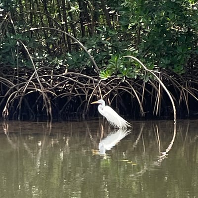 Nia Dance-the-Joy Urlaub