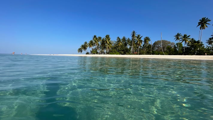 Nia Dance-the-Joy Urlaub