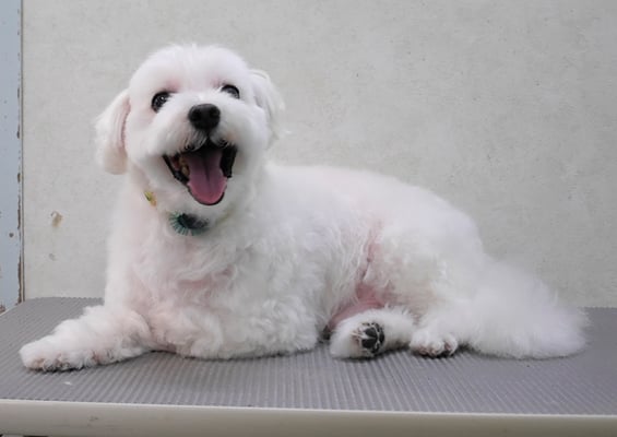 山口フウタちゃん