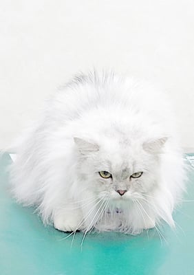 福永まろちゃん