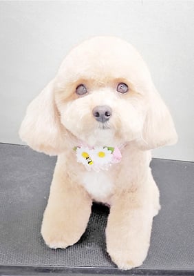 丸山小琴ちゃん