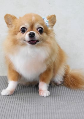 川原オカンちゃん