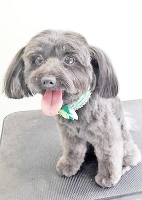 木原シェルちゃん