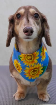 米田ジローちゃん