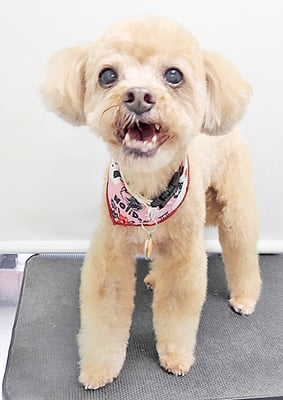 堀内まりもちゃん