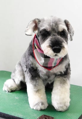 徳地ティアちゃん