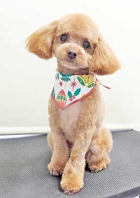 岩元ナノちゃん