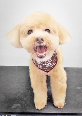 堀内まりもちゃん