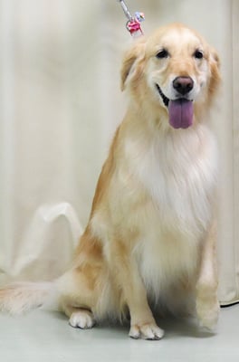 美代ジューンちゃん