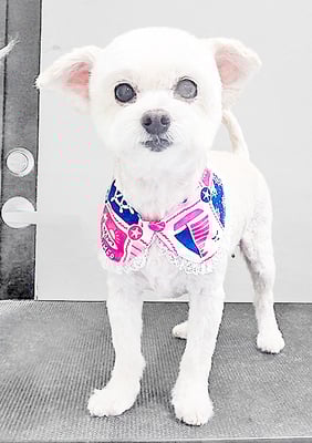 橋口リリィちゃん