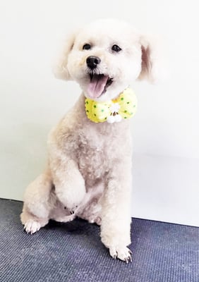 肥田クゥちゃん