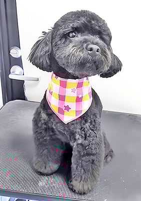 野口サニーちゃん