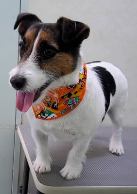 外園マロちゃん