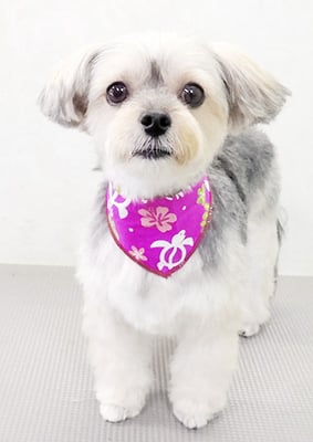 有馬まりんちゃん