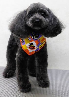 森崎ラブちゃん