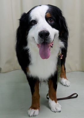 重野エドちゃん