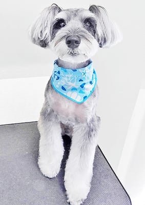 糸山そらちゃん