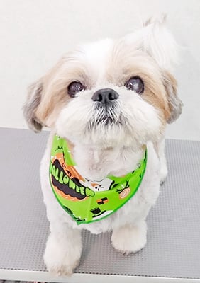 並木ランちゃん