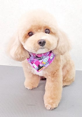 丸山小琴ちゃん