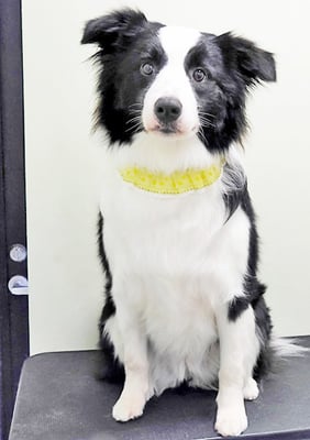 中薗シェリーちゃん