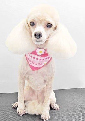 新留モコちゃん