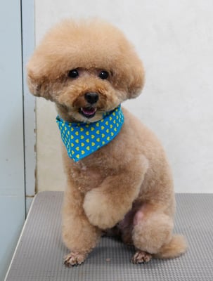 肥田クウちゃん