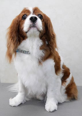 久永ココロちゃん