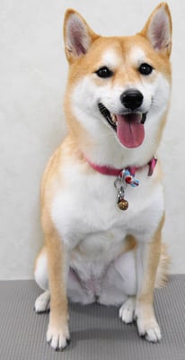 小村ユズちゃん