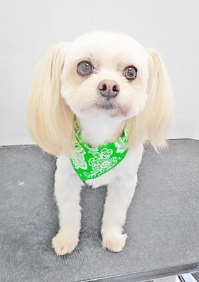 大脇ココアちゃん