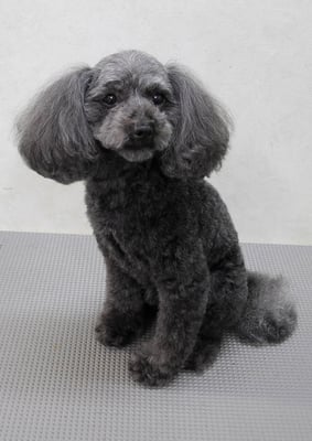 森崎ラブちゃん