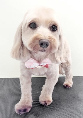 谷山ナナちゃん