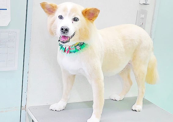 田﨑くじらちゃん