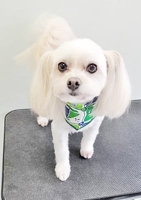 大脇ココアちゃん