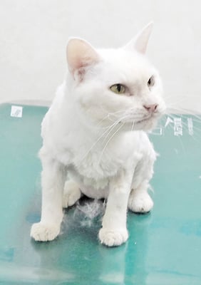 磯脇めいちゃん