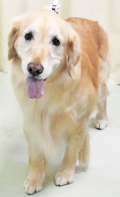 美代ジューンちゃん