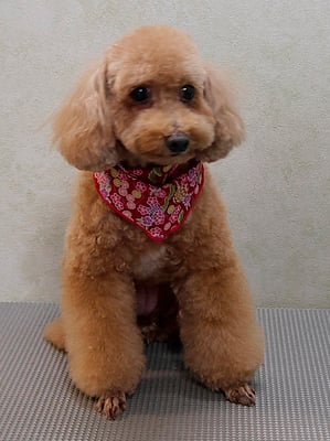 肥田クウちゃん