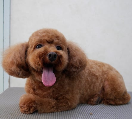 迫田リクちゃん