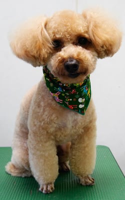 二宮モコちゃん