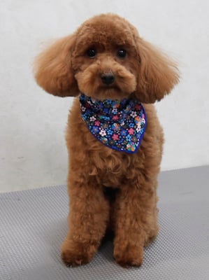 森田諭吉ちゃん