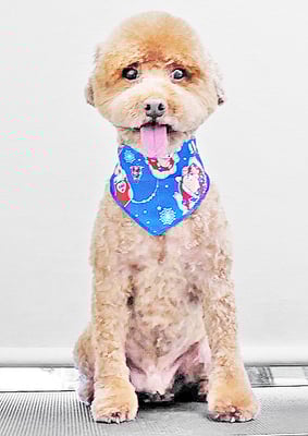 山元風介ちゃん