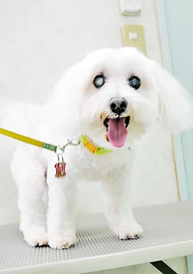 山口ふうたちゃん