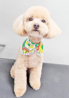 谷口マロンちゃん