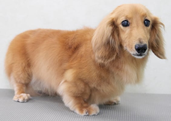 﨑戸ジュリアちゃん