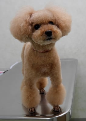 肥田クゥちゃん